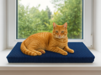 parapetnik-60x20x5cm-turkusowy-z-kotem