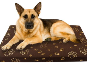 legowisko-dla-psa-100x60cm-brązowe