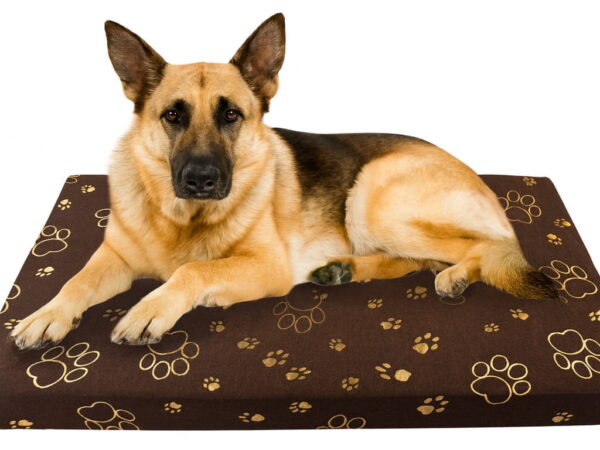 legowisko-dla-psa-100x60cm-brązowe